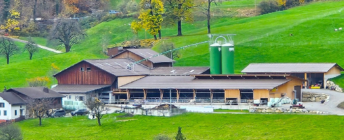 Bleichis Hoflädeli